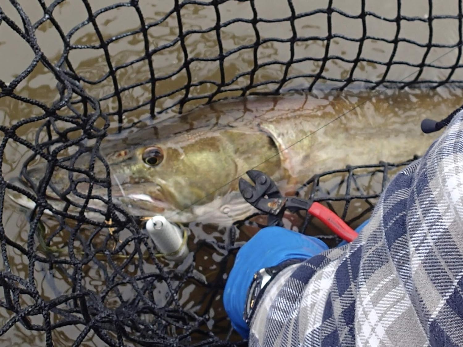 KNIPEX - 71 01 200 Tools - CoBolt Compact Bolt Cutter (7101200). 8-Inch